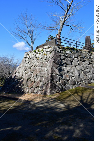 延岡城46 75635867