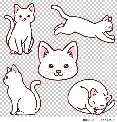 シンプルで可愛い白猫のイラストセット　主線あり 75635898