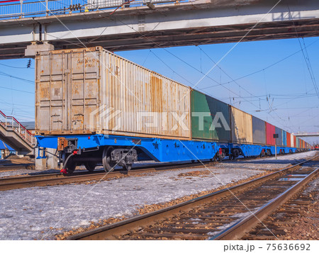 Long freight train of Idler flatcars loaded with intermodal 40-fts containers on the marshalling yard of Trans-Siberian Railway. 75636692