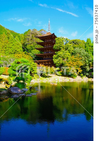 瑠璃光寺五重塔と鏡像 75637410