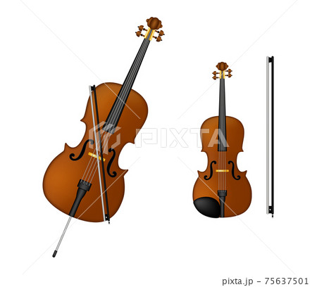 Musical instruments. Vector 75637501
