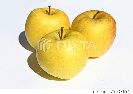 りんご（サン金星） 75637654