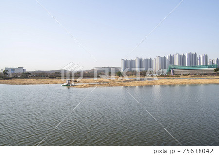風景 湖 春 75638042