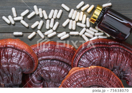 Ling zhi mushroom and capsule with bottle mockup 75638070