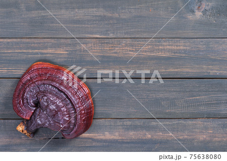 Close up of Ling zhi mushroom on wood table 75638080