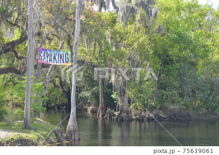Kayaking on the Shingle Creek at Shingle Creek Regional Park, Osceola County, Kissimmee, Florida 75639061