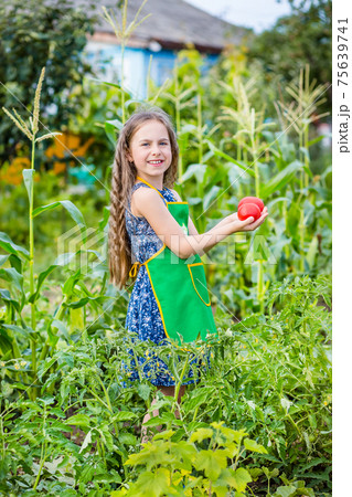 Child and vegetables on the farm. 75639741