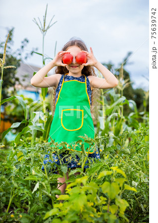 Child and vegetables on the farm. 75639742