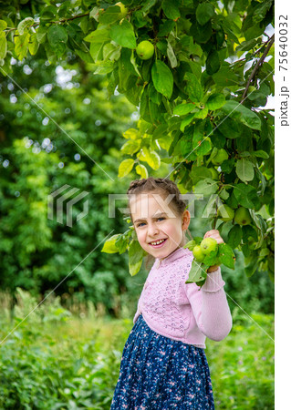 Cute little girl picking apples 75640032