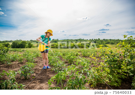 Gardening - nice girl watering plants in the garden Gardening - nice girl watering plants in the garden 75640033