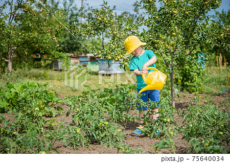 Little boy watering Little boy watering 75640034