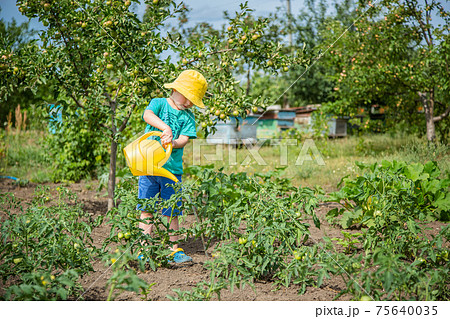 Little boy watering 75640035