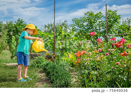 Little boy watering 75640036