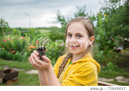 Little girl with a spring chicken. 75640037