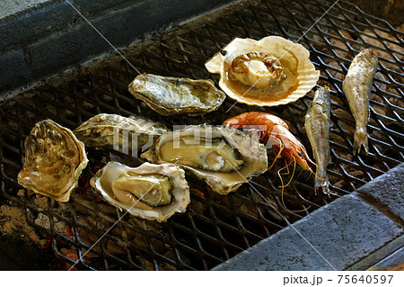 炉端焼き ろばた焼 海鮮炭火焼き 炉端焼き ろばた焼 海鮮炭火焼き 75640597
