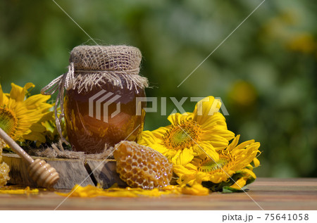 Sweet honey, pieces of combs and honey dipper. Copy space for insert text Sweet honey, pieces of combs and honey dipper. Copy space for insert text 75641058