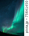 森の中のオーロラ 75641450