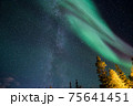 森の中のオーロラ 75641451