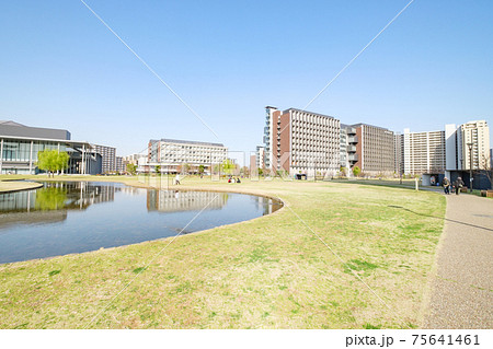 都市風景　再開発された芝生の公園と東京理科大学キャンパス　東京都葛飾区新宿 75641461