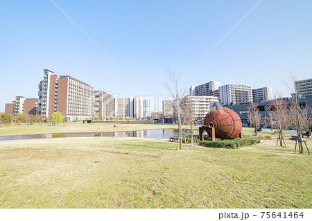 都市風景　再開発された住宅街と芝生の公園　東京都葛飾区新宿 75641464