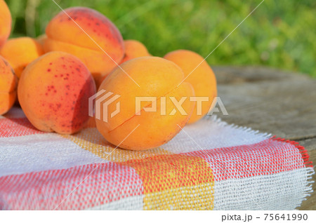 Ripe apricots on green background 75641990