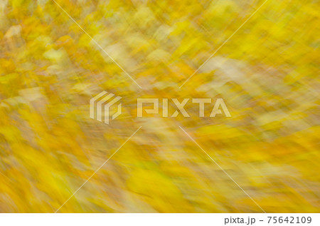 Falling autumn leaves motion blurred background 75642109