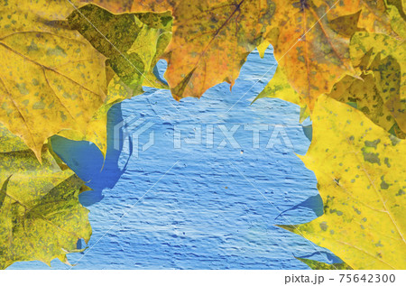Autumn background with leaves. Autumn background with leaves. 75642300