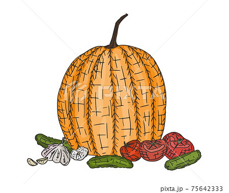 Pumpkin and garlic vegetables drawing. doodle new Pumpkin and garlic vegetables drawing. doodle new 75642333