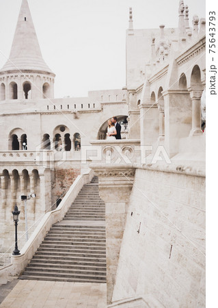 Beautiful bride and groom embracing and kissing on their wedding day outdoors 75643793