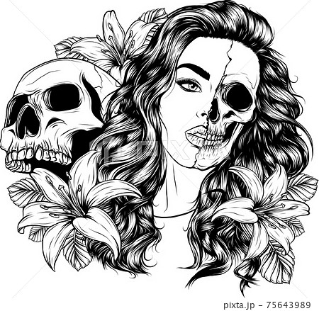 Skull drawing Vectors & Illustrations for Free Download | Freepik