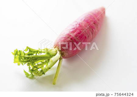 レディーサラダ レディーサラダ 75644324