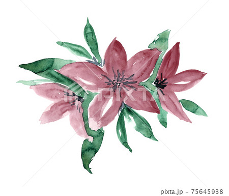 Watercolor maroon flowers with leaves arrangement Watercolor maroon flowers with leaves arrangement 75645938