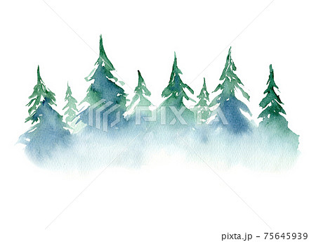 Watercolor background with coniferous trees forest Watercolor background with coniferous trees forest 75645939