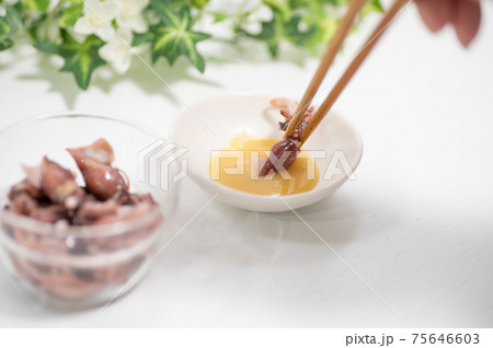 春が旬のホタルイカ 春が旬のホタルイカ 75646603