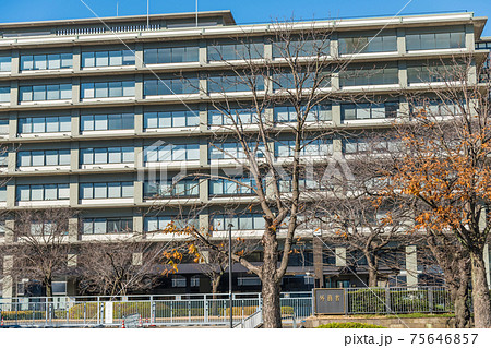 【人がいないお正月の外務産省正面玄関】 75646857