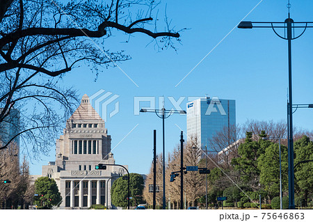 【冬の国会議事堂】 75646863