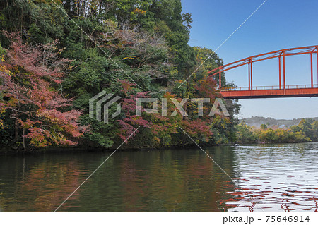 【クルーズ船からの亀山湖の紅葉と赤い橋】 【クルーズ船からの亀山湖の紅葉と赤い橋】 75646914