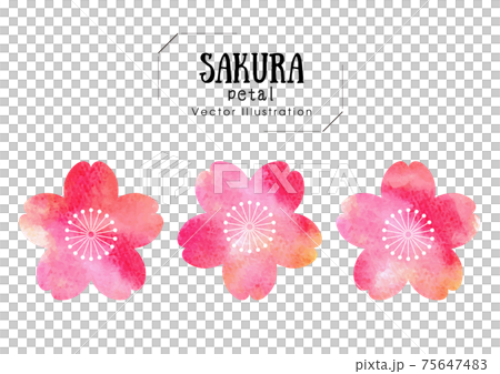 手寫手寫水彩櫻花 75647483