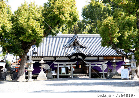 泉穴師神社　拝殿　(大阪府泉大津市) 75648197