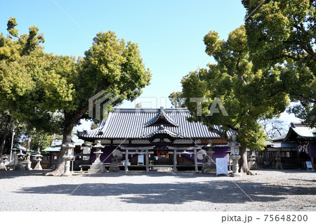 泉穴師神社　拝殿　(大阪府泉大津市) 75648200