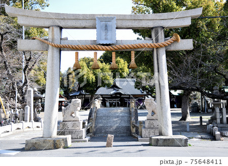 泉穴師神社　鳥居と石畳太鼓橋、その奥に拝殿(大阪府泉大津市) 75648411