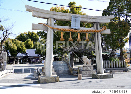 泉穴師神社 鳥居と石畳太鼓橋、その奥に拝殿(大阪府泉大津市) 泉穴師神社 鳥居と石畳太鼓橋、その奥に拝殿(大阪府泉大津市) 75648413