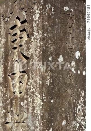 埼玉 大宮散歩：真福寺跡の庚申塔 75649485