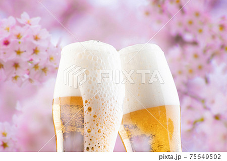 お花見でビール 75649502