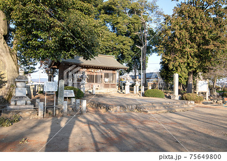 畠山重忠公史跡公園 深谷市 畠山館跡 畠山重忠公史跡公園 深谷市 畠山館跡 75649800