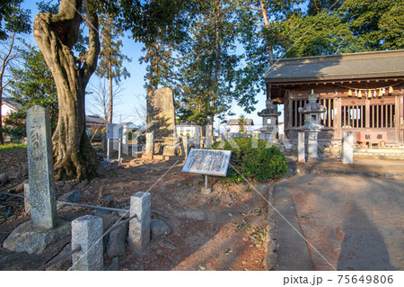畠山重忠公史跡公園　深谷市　畠山館跡 75649806