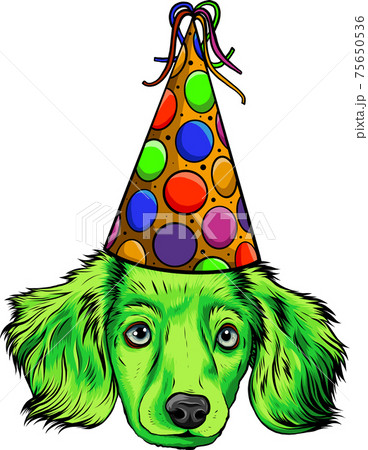 A Cute Little Puppy With Party Hatのイラスト素材