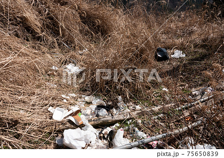不法投棄されたゴミ　山中 75650839