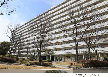 千里ニュータウン 千里ニュータウン 75651302