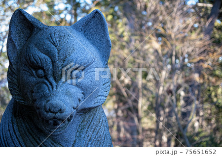 御岳山 狛犬 御岳山 狛犬 75651652